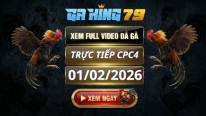 Xem Full Clip Da Ga Truc Tiep CPC4 Ngay 01022026 1 1