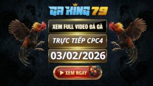 Xem Full Clip Da Ga Truc Tiep CPC4 Ngay 03022026 1 1