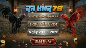 Xem Full Clip Đá Gà Trực Tiếp CPC4 Ngày 29/03/2026