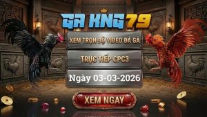 GAKING79 Xem Full Clip Da Ga Truc Tiep CPC3 Ngay 03032026 1