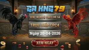 Xem Full Clip Đá Gà Trực Tiếp CPC4 Ngày 20/04/2026