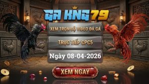 Xem Full Clip Đá Gà Trực Tiếp CPC5 Ngày 08/04/2026