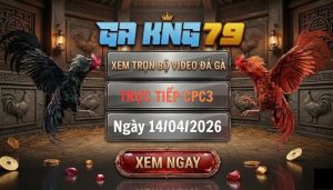 Video đá gà CPC3 ngày 14_04_2026