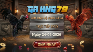 Xem Full Clip Đá Gà Trực Tiếp CPC5 Ngày 24/04/2026