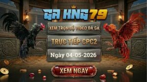 Xem Full Clip Đá Gà Bồ CPC2 Ngày 04/05/2026