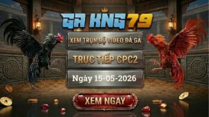 Xem Full Clip Đá Gà Bồ CPC2 Ngày 15/05/2026