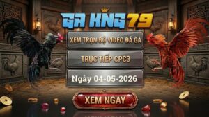 Xem Full Clip Đá Gà Bồ CPC3 Ngày 04/05/2026