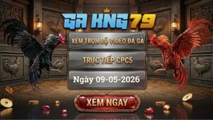 Xem Full Clip Đá Gà Bồ CPC5 Ngày 09/05/2026